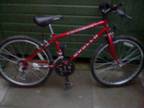 BOYS RED mountain bike,  Hi im am selling my apollo...