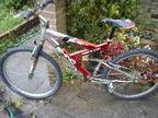 rhino full suspension mountain bike,  I am selling rhino....