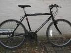 MOUNTAIN BIKE,  gents Thompson Stone Creek hand built....