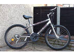 Teenager/Man's 18 Speed Mountain Bike,  London N9