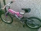 GIRLS REEBOK PINK + SILVER BIKE This bike has only...