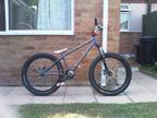 Custom Saracen Amplitude 2